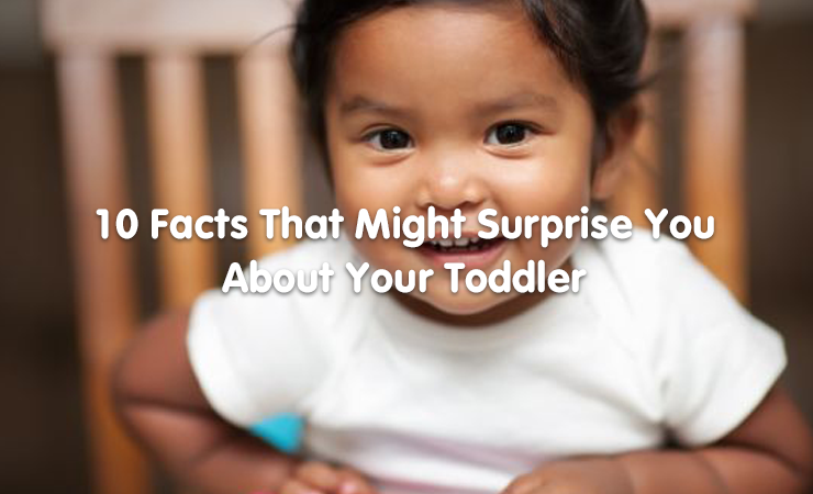 10 facts that might surprise you about your toddler